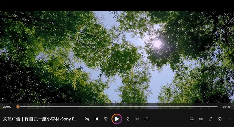文艺广告｜许自己一座小森林-Sony FX9-广告片-餐饮食品视频-新片场