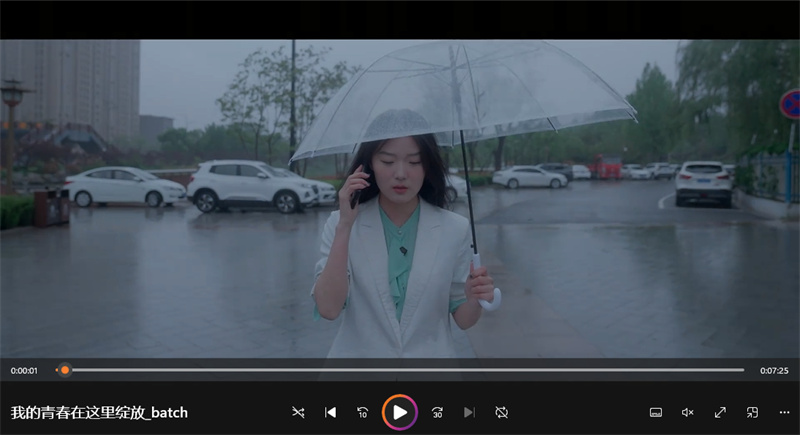 我的青春在这里绽放